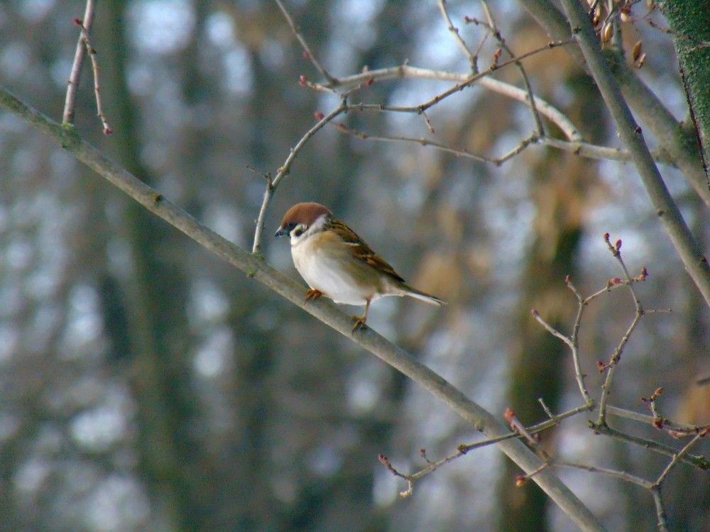 Photograph by Ольга Шевцова