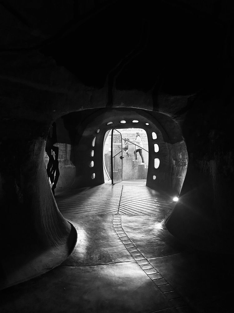 Photograph by VIVIN MEROLA S