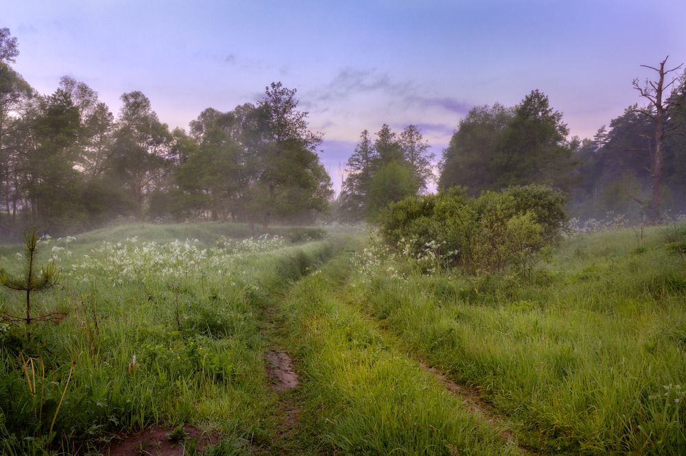 Фотография автора Сережа Сережин