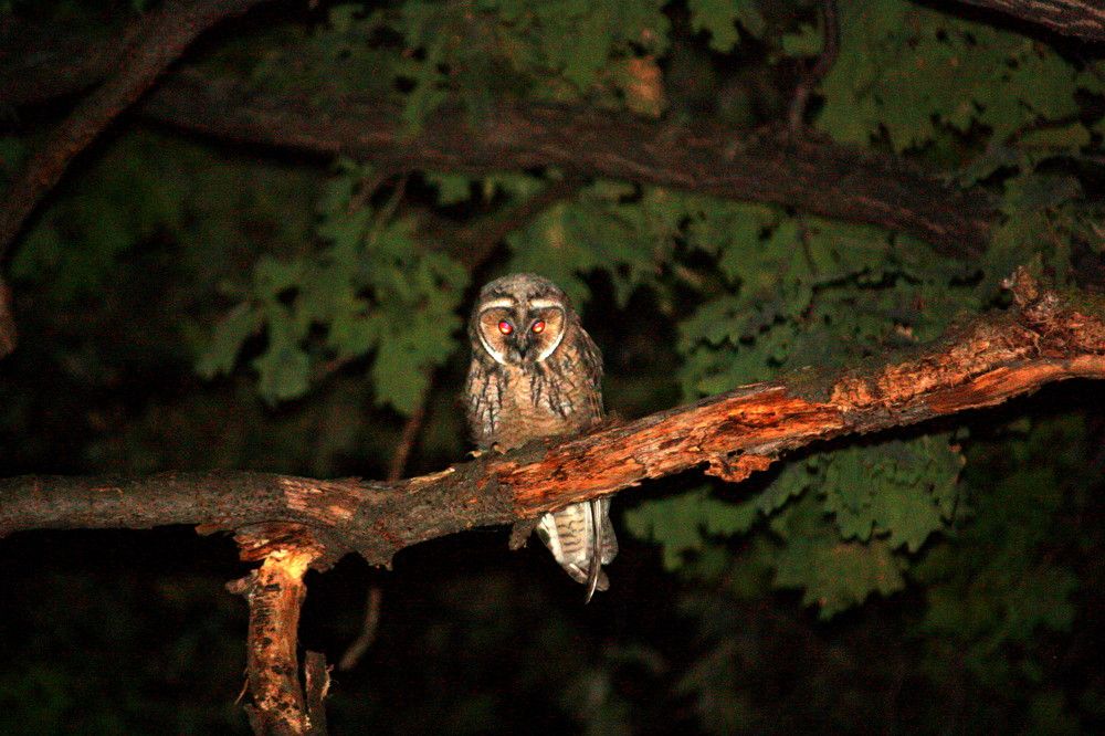 Photograph by Ольга Павлова