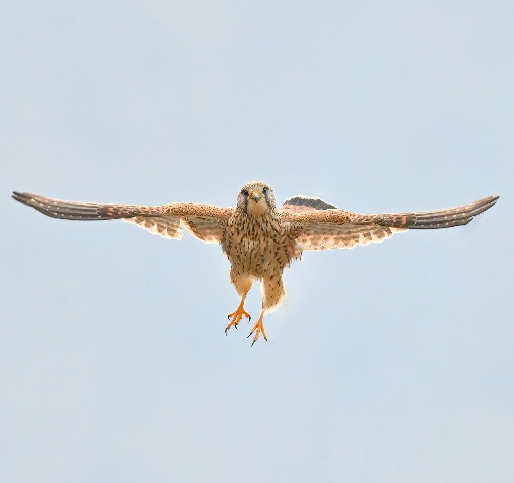 Photograph by Abhishek Manna