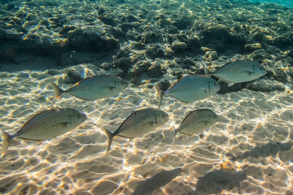 Photograph by Дмитрий Пасынков