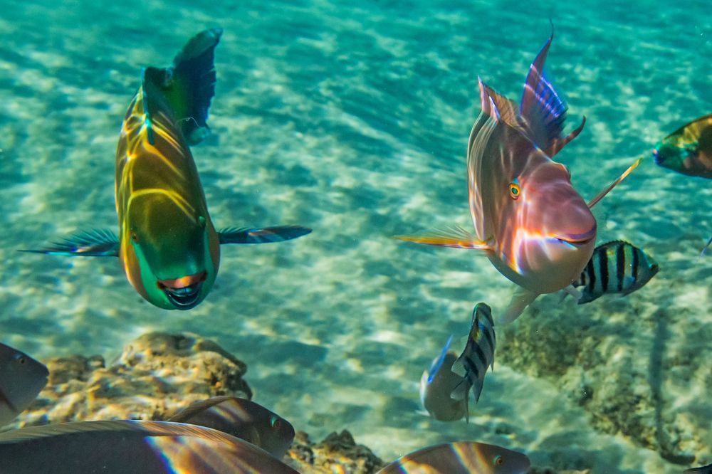 Photograph by Дмитрий Пасынков