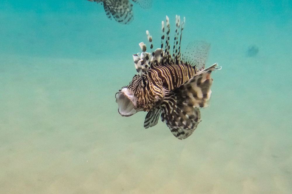 Photograph by Дмитрий Пасынков