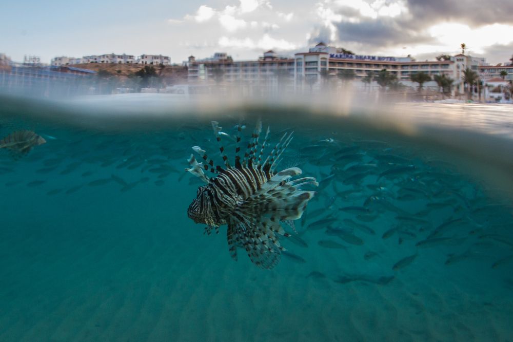 Photograph by Дмитрий Пасынков