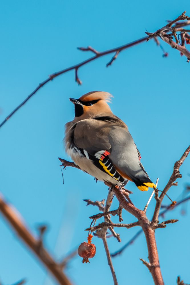 Photograph by Корчагина Оксана