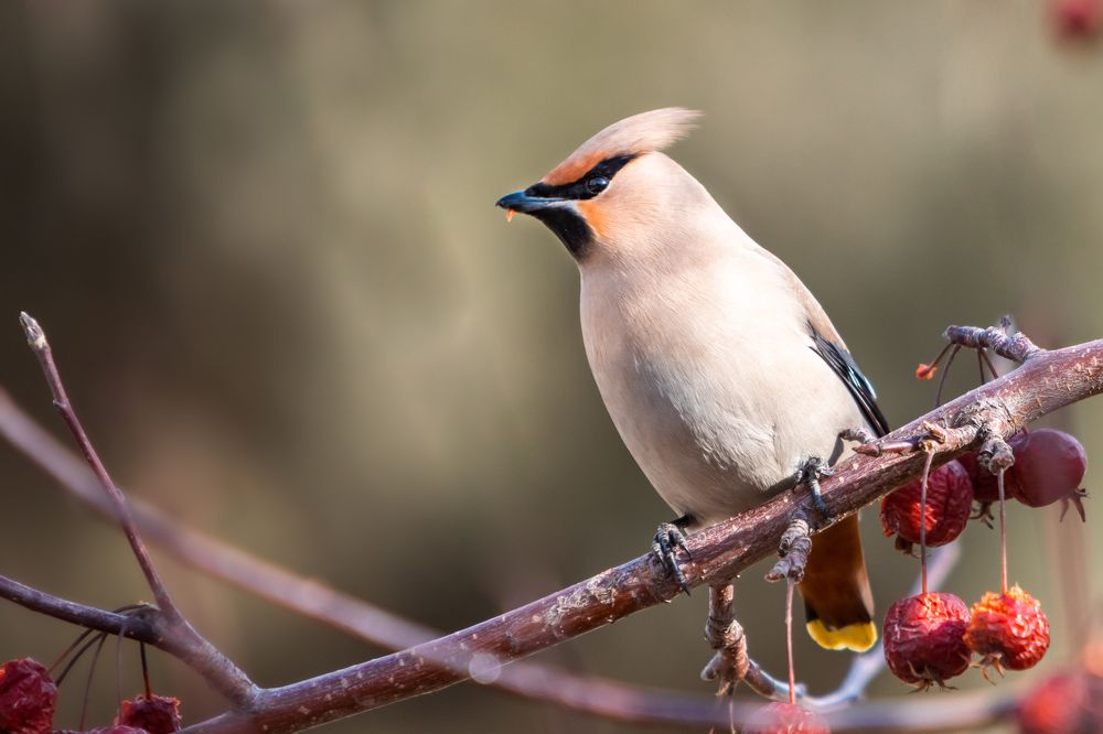 Photograph by Корчагина Оксана