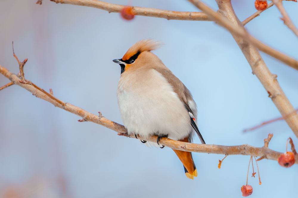 Photograph by Корчагина Оксана