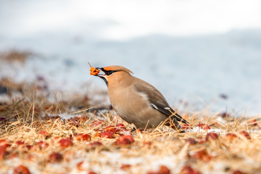 Photograph by Корчагина Оксана