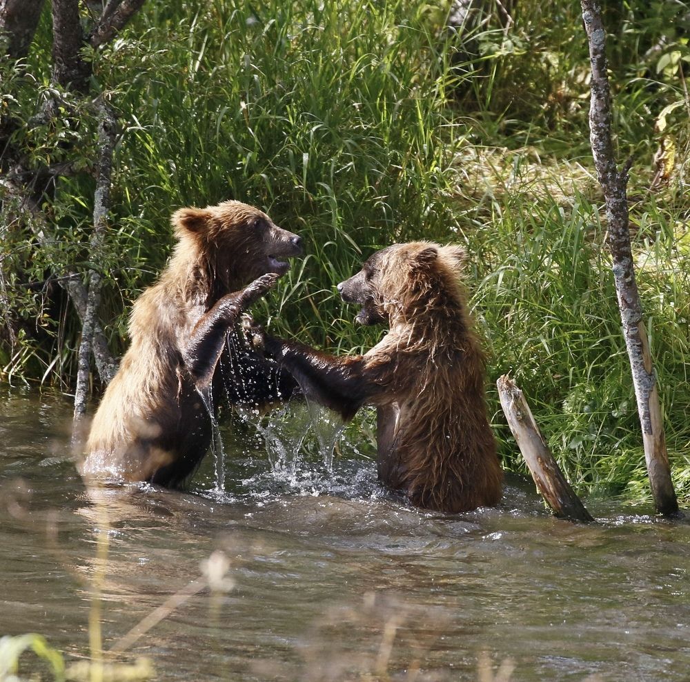 Photograph by Наталья Турчик