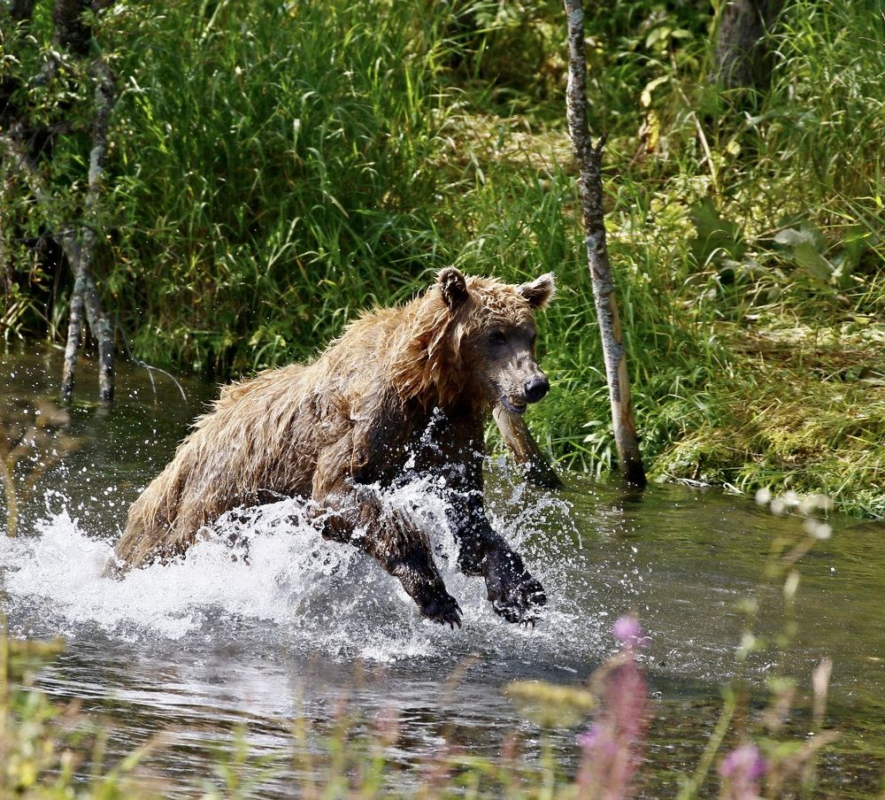 Photograph by Наталья Турчик