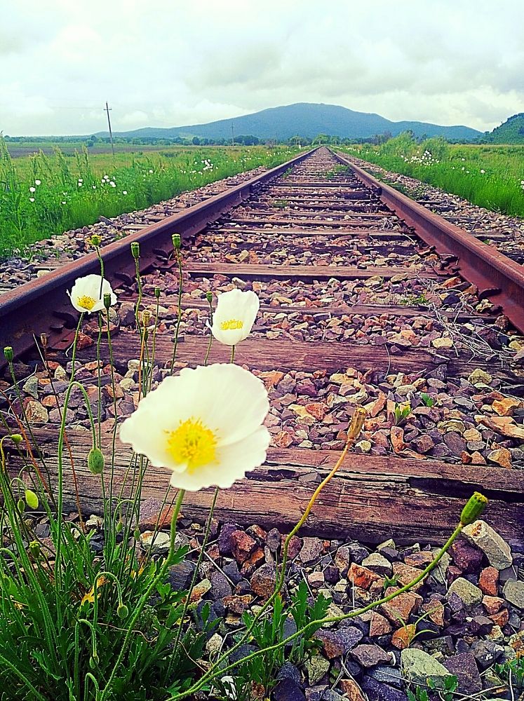 Photograph by НаталиЯ К