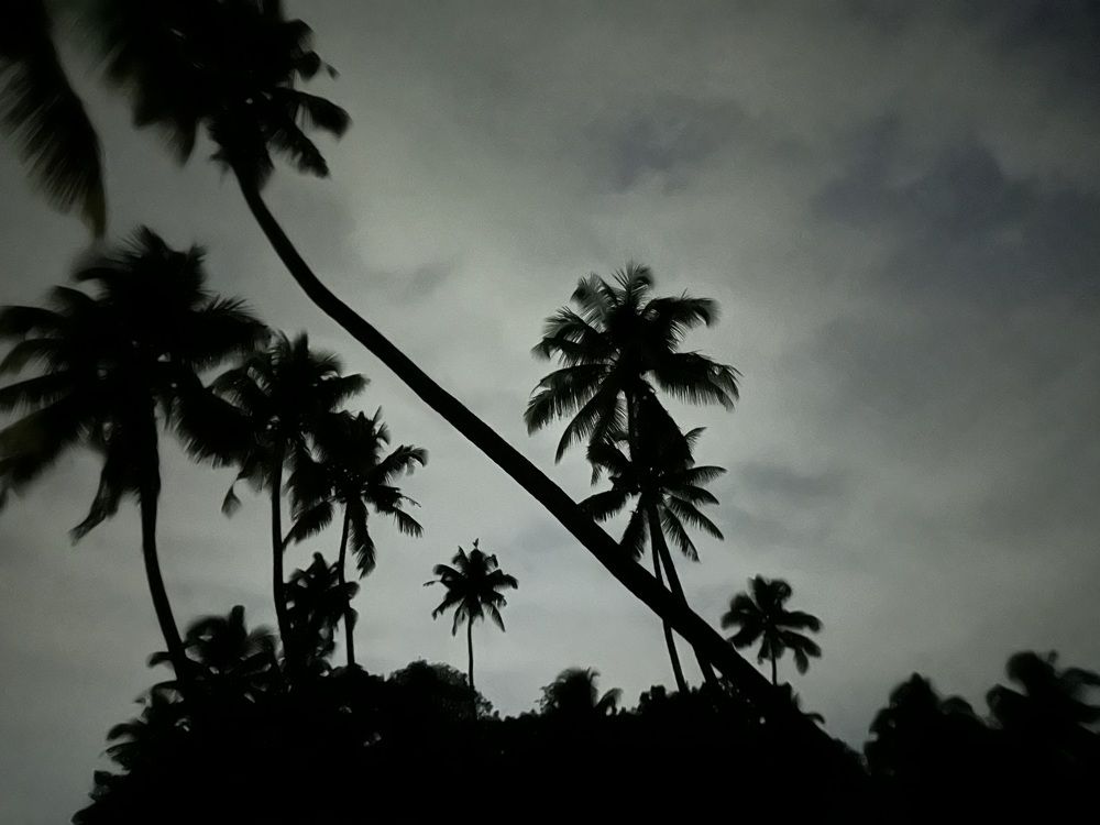 Photograph by Kicknick