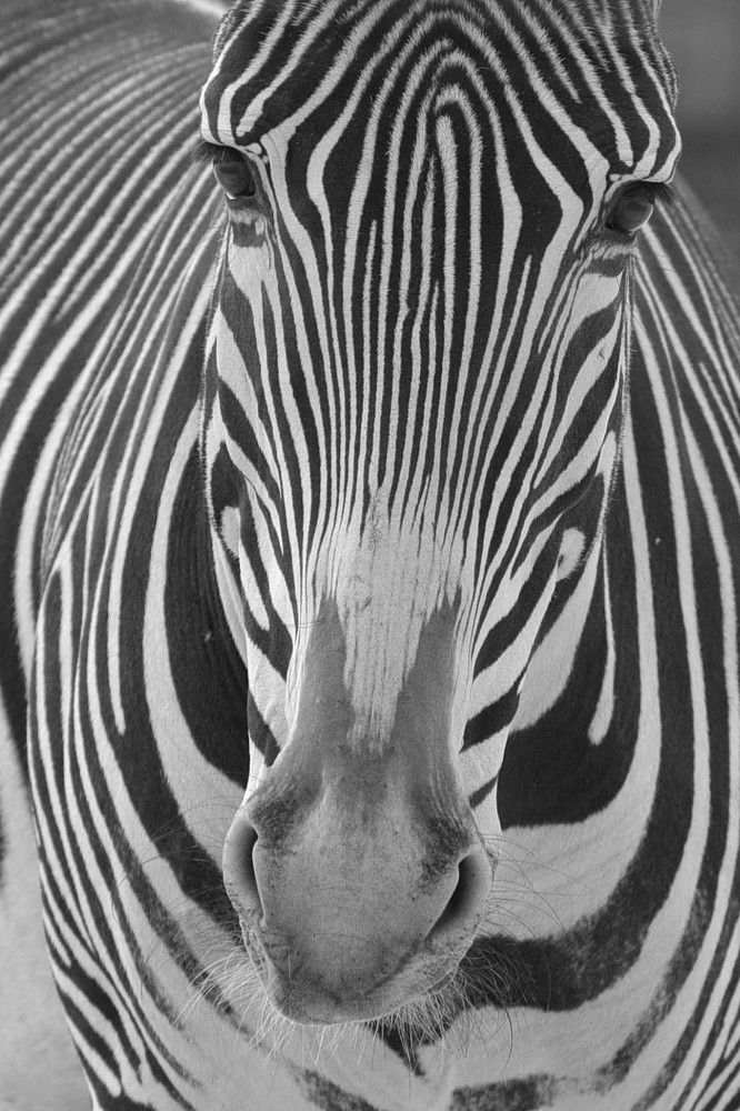 Photograph by Nikolai Savin