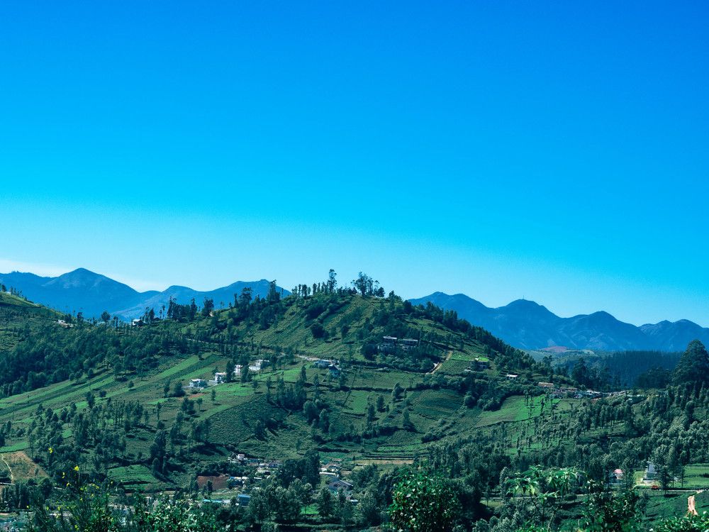 Photograph by Duanne Duanne