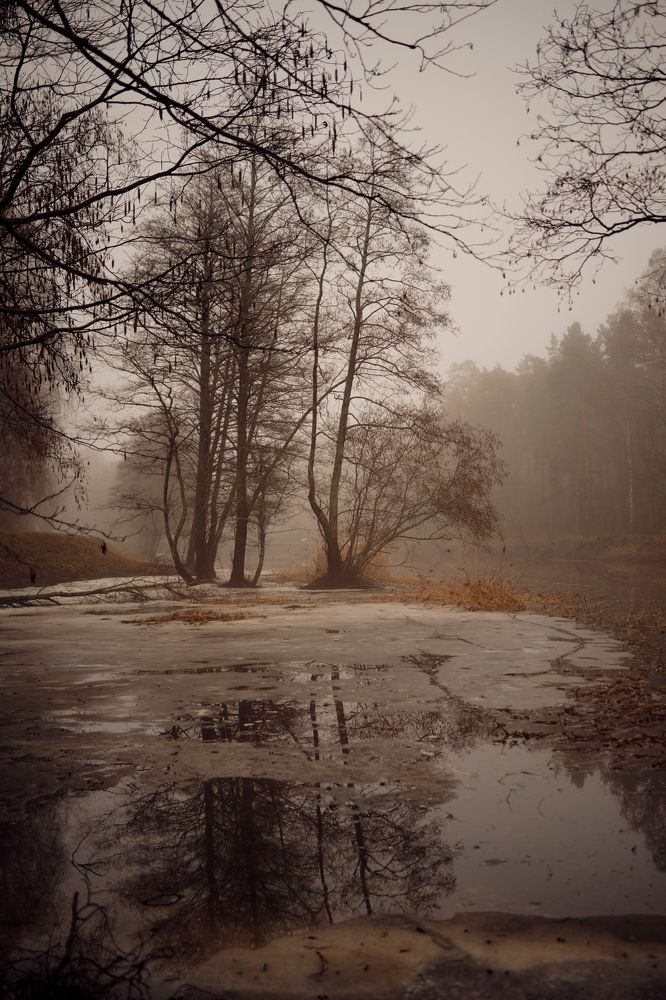 Photograph by Kaspars Mitulis