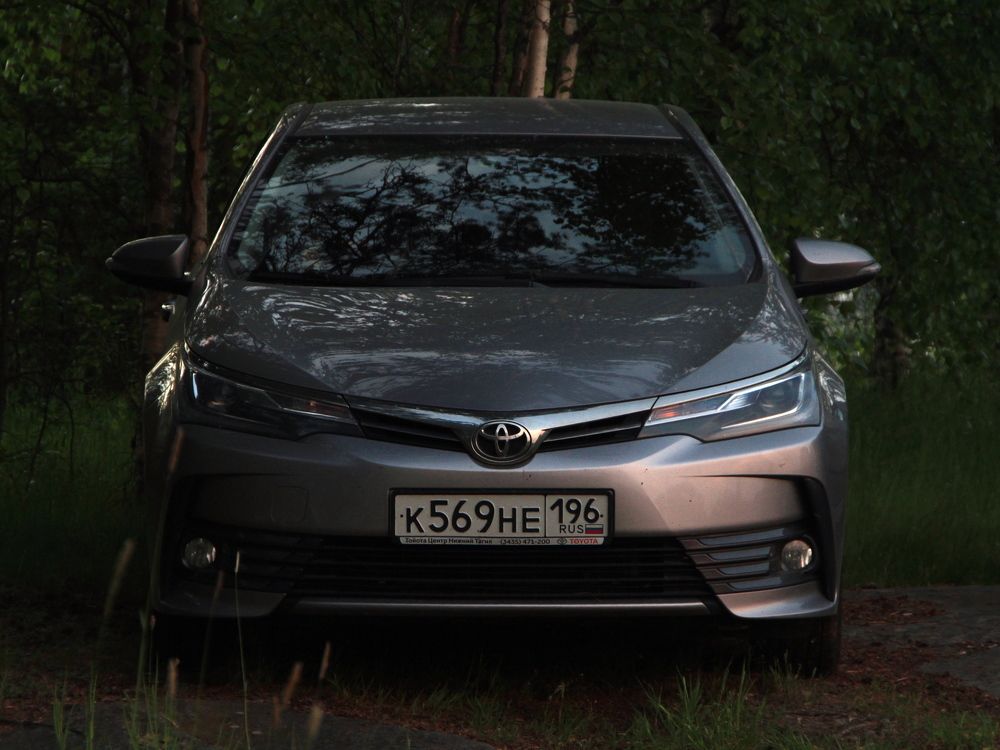 Фотография автора Анастасия Зверева