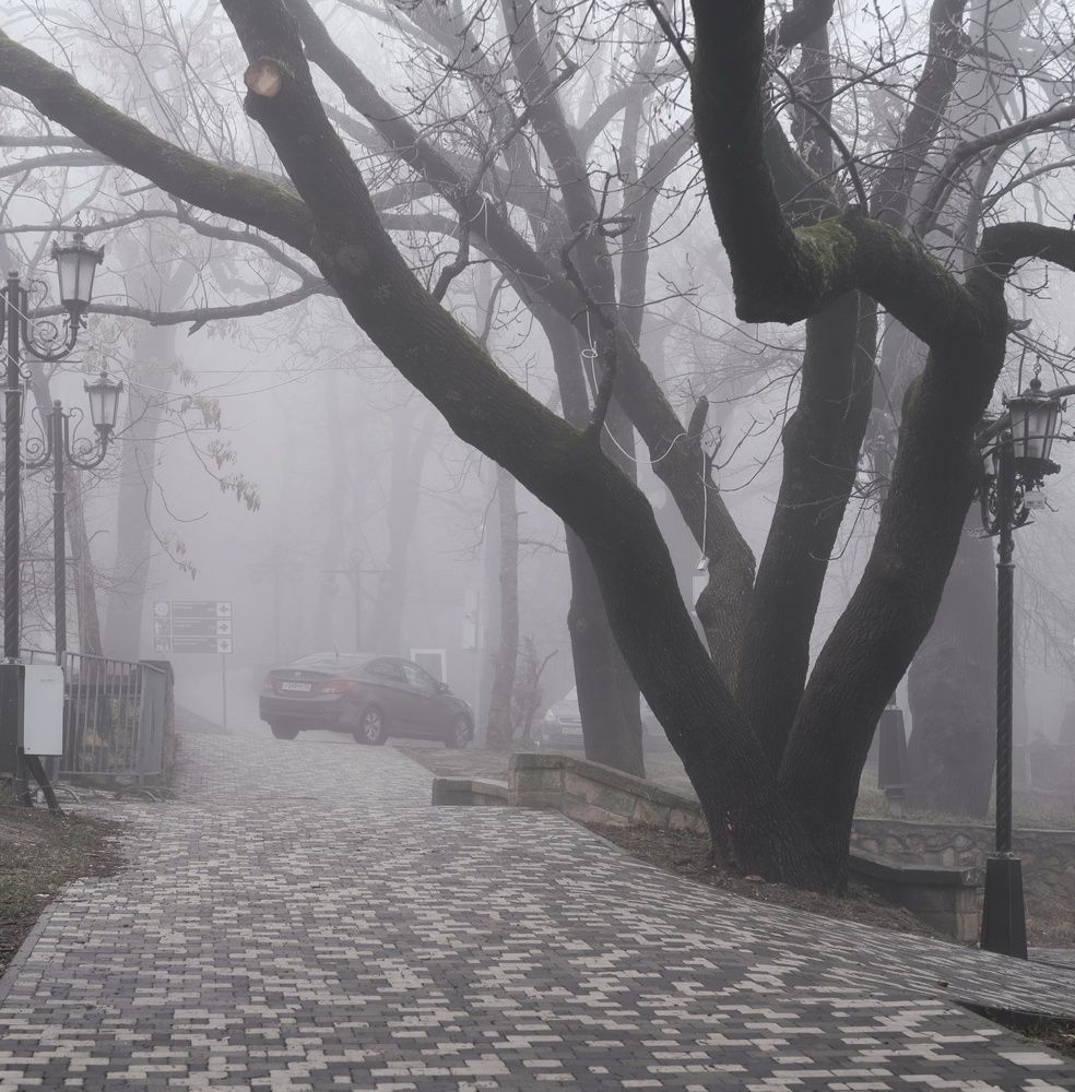 Photograph by Сергей Кошин