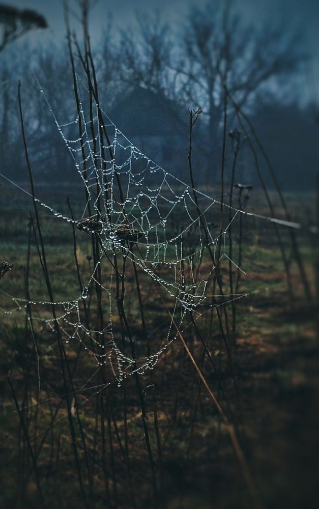 Photograph by Наталья Исиченко