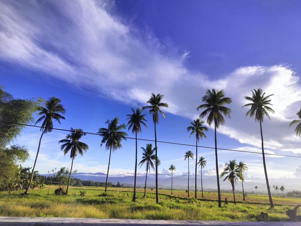 Photograph by RICHARD BRIONES