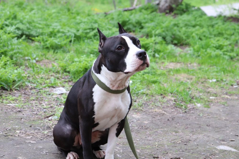 Фотография автора Юлия Кучеренко