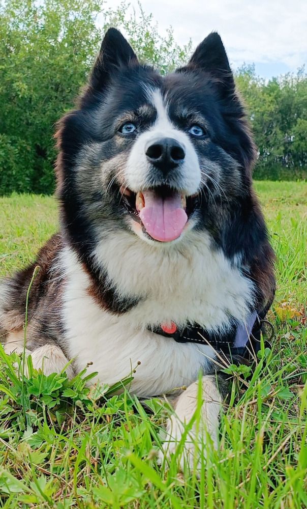 Фотография автора Юлия Кучеренко