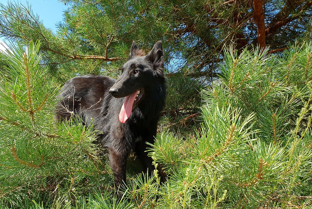 Фотография автора Надежда Лисицына