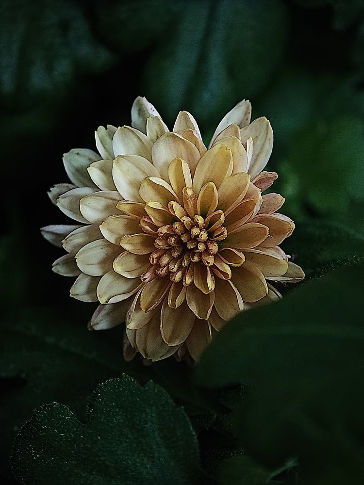 Фотография автора Вера Красюкова