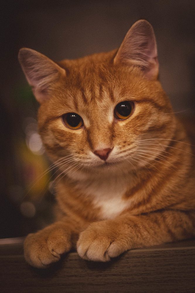 Photograph by Евгений Авдеев