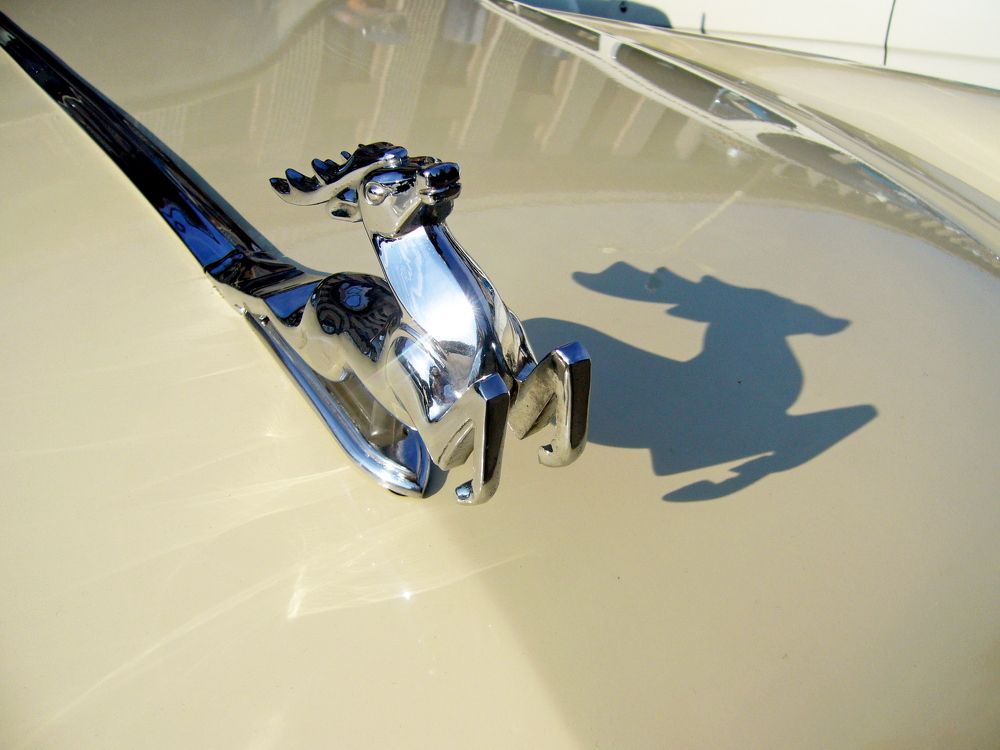 Photograph by Алексей Козлов