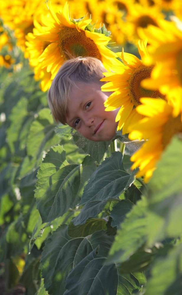 Photograph by Наталья