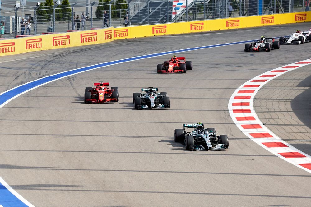 Фотография автора Totoro D