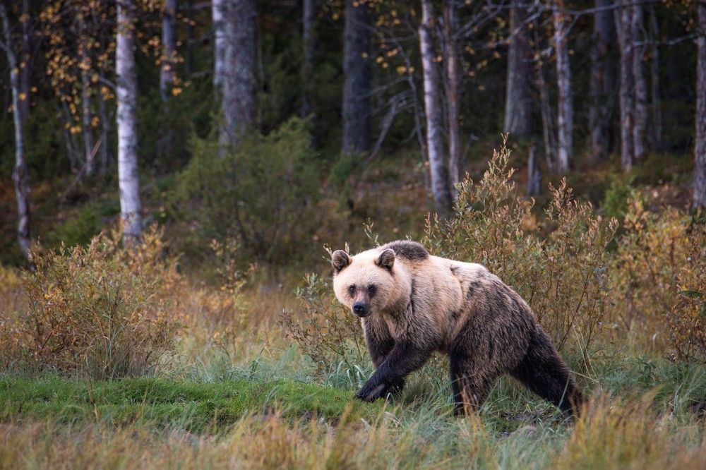 Photograph by Katrin Lillenthal