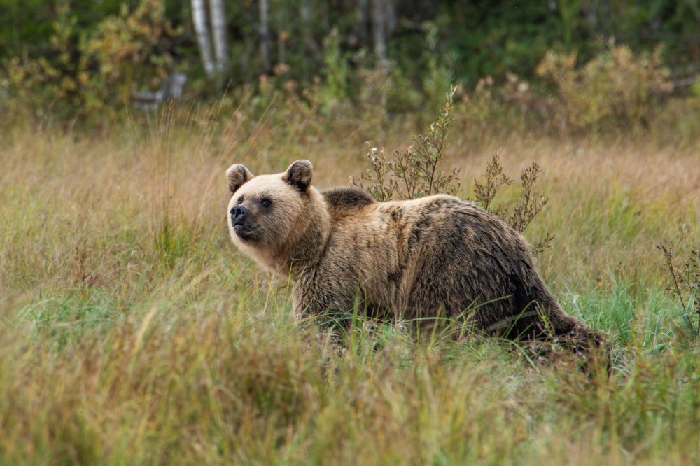 Photograph by Katrin Lillenthal