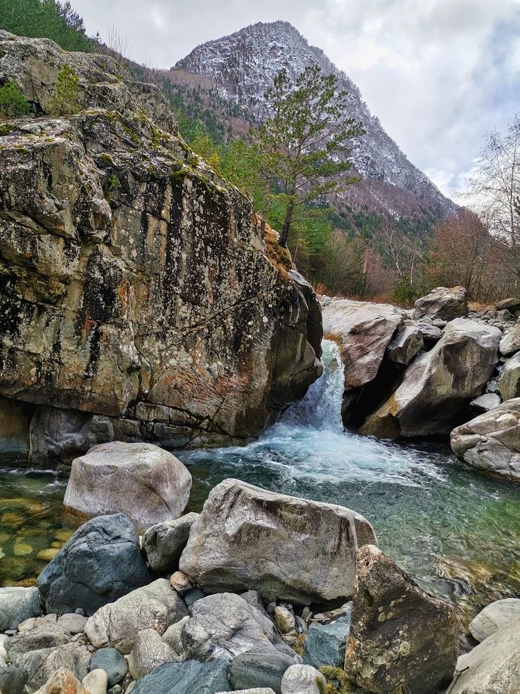 Photograph by Ирина Садовникова