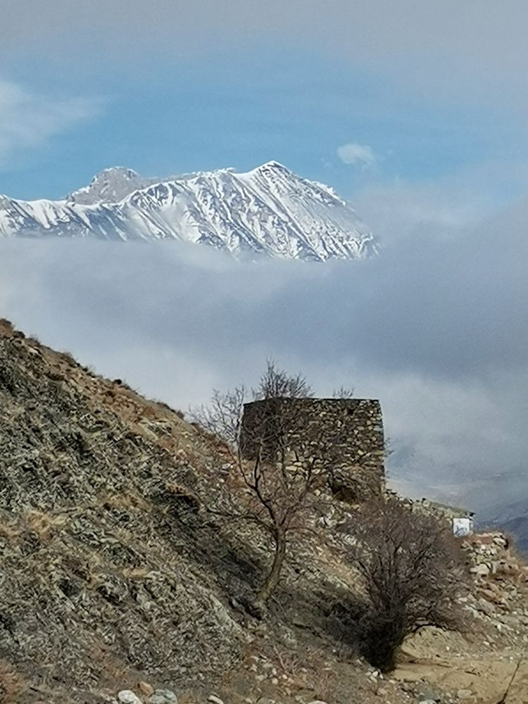Photograph by Ирина Садовникова
