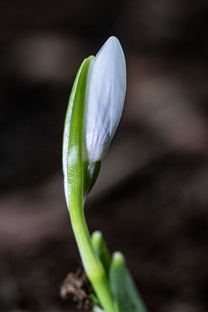 Photograph by Ирина Саломатина