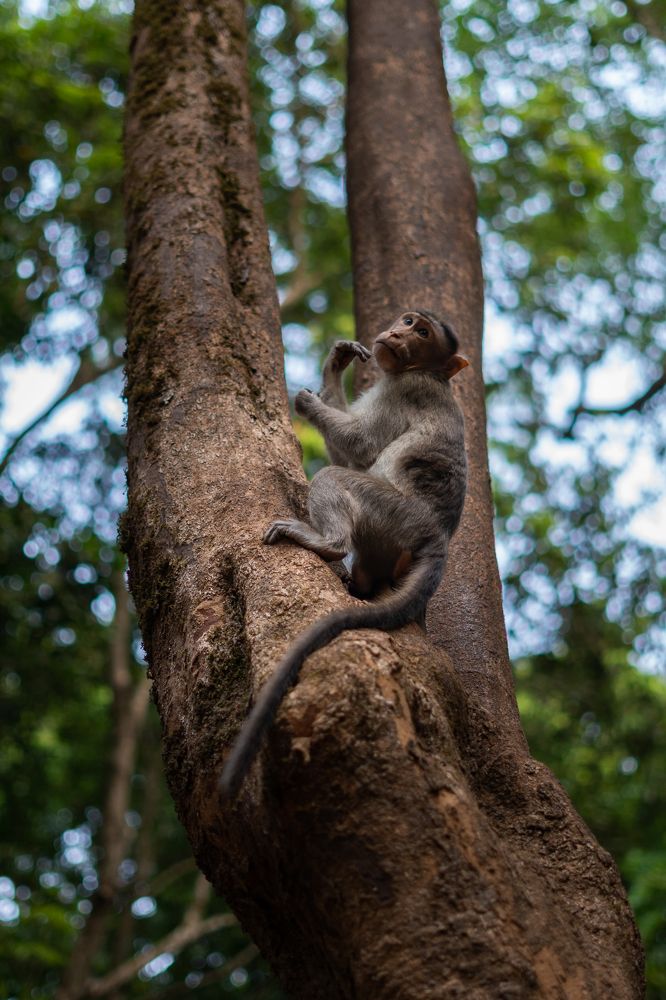 Фотография автора Aniket