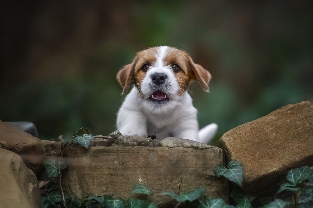 Photograph by Наталья Орел