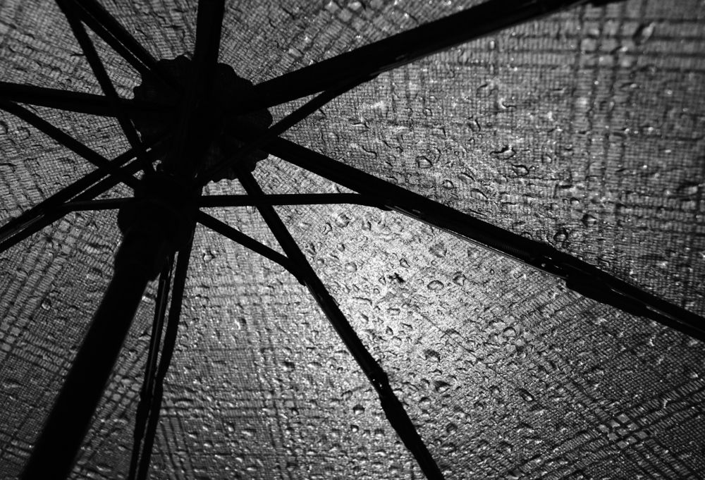 Photograph by Nikita Ostarkov