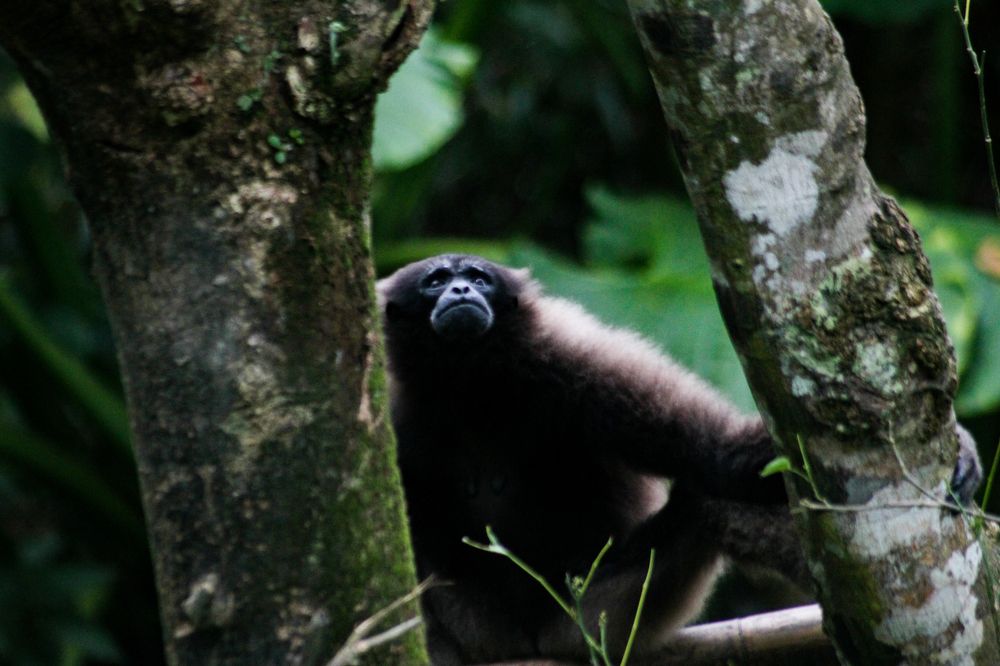 Photograph by ALEXANDER FERDINAND