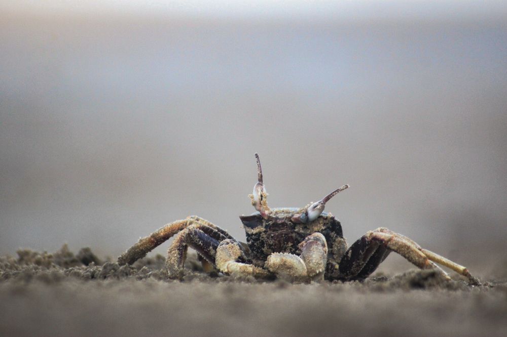 Photograph by ALEXANDER FERDINAND