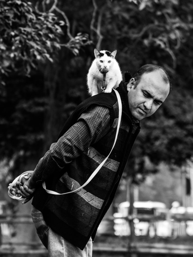 Фотография автора Anurag Banerjee