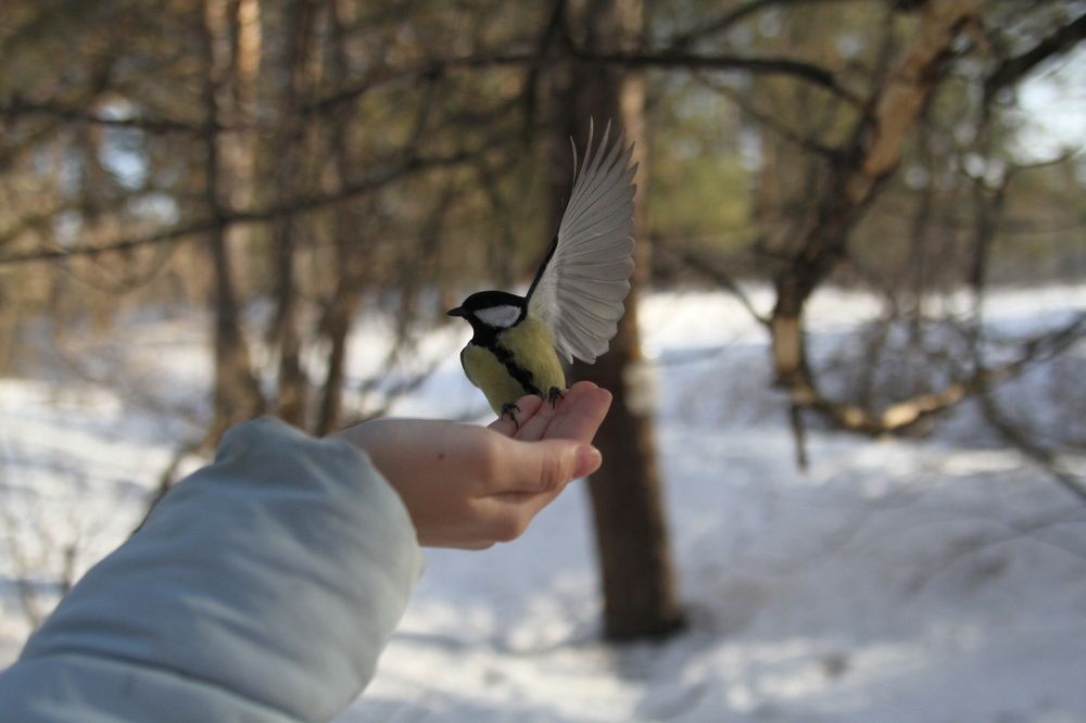 Photograph by Елизавета Мишина