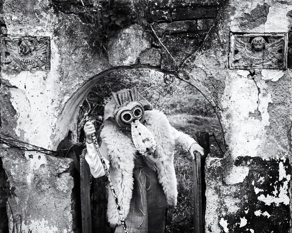 Беле Покладе Лозовик 2