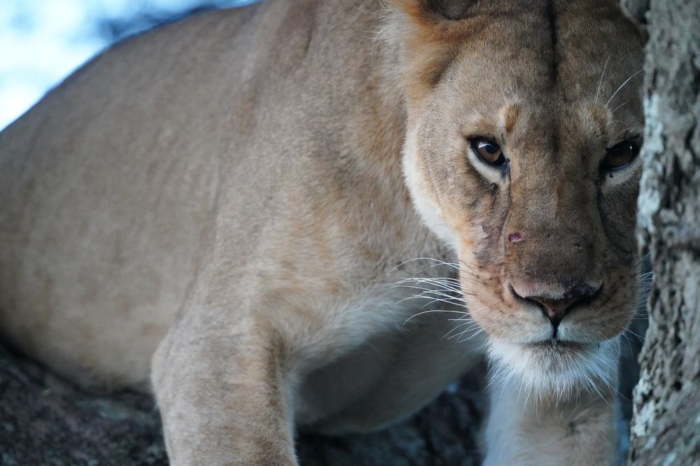 Photograph by Faraja Goodluck