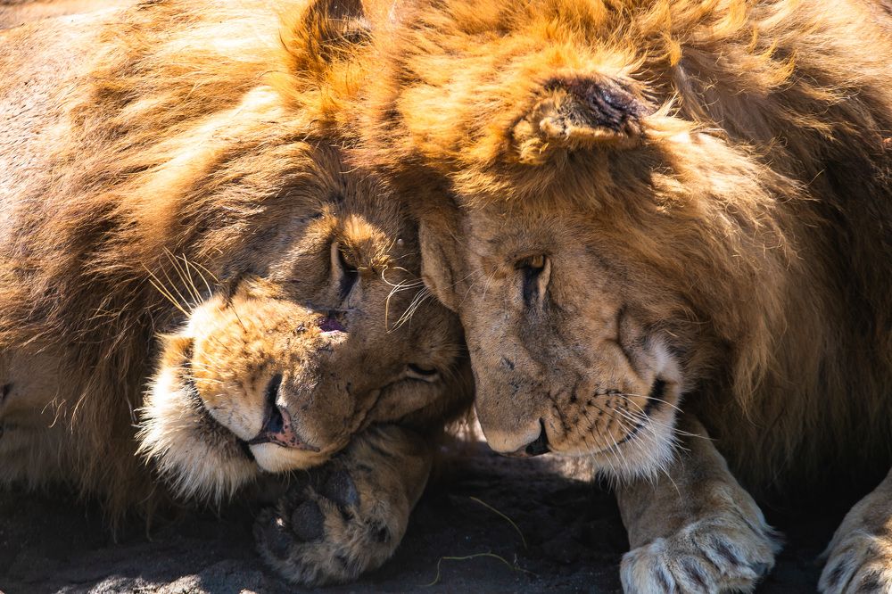 Photograph by Faraja Goodluck