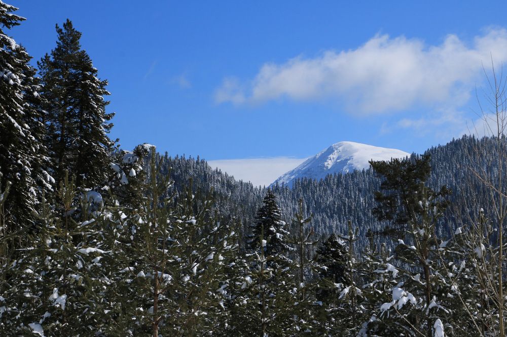 Photograph by Cengiz Yalcin