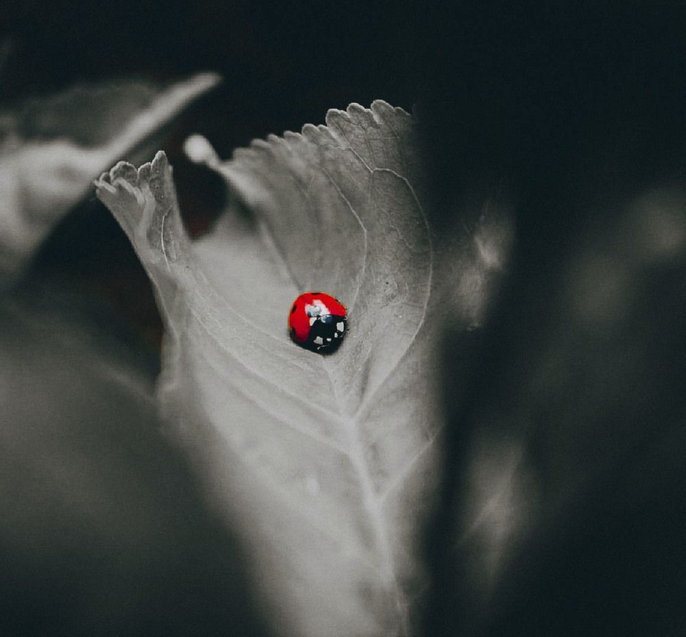 Photograph by Андрей Астафьев