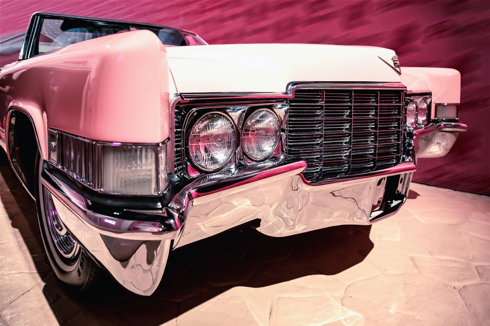 Photograph by Medeiros Everton